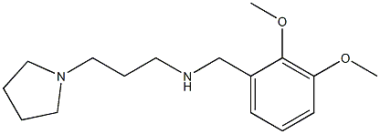 [(2,3-dimethoxyphenyl)methyl][3-(pyrrolidin-1-yl)propyl]amine 结构式