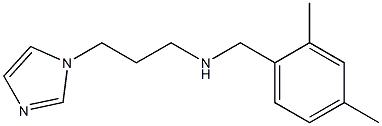 [(2,4-dimethylphenyl)methyl][3-(1H-imidazol-1-yl)propyl]amine 结构式