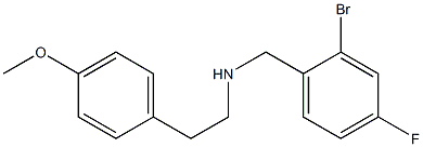 [(2-bromo-4-fluorophenyl)methyl][2-(4-methoxyphenyl)ethyl]amine 结构式