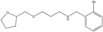 [(2-bromophenyl)methyl][3-(oxolan-2-ylmethoxy)propyl]amine 结构式