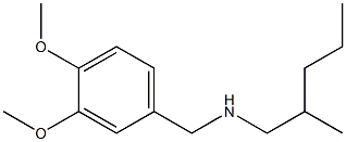 [(3,4-dimethoxyphenyl)methyl](2-methylpentyl)amine 结构式