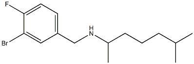 [(3-bromo-4-fluorophenyl)methyl](6-methylheptan-2-yl)amine 结构式