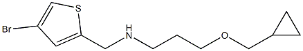 [(4-bromothiophen-2-yl)methyl][3-(cyclopropylmethoxy)propyl]amine 结构式