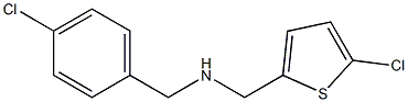 [(4-chlorophenyl)methyl][(5-chlorothiophen-2-yl)methyl]amine 结构式
