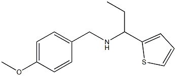 [(4-methoxyphenyl)methyl][1-(thiophen-2-yl)propyl]amine 结构式