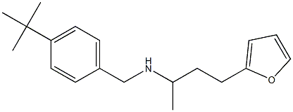 [(4-tert-butylphenyl)methyl][4-(furan-2-yl)butan-2-yl]amine 结构式