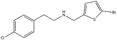 [(5-bromothiophen-2-yl)methyl][2-(4-chlorophenyl)ethyl]amine 结构式