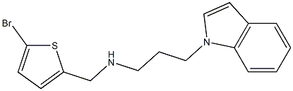 [(5-bromothiophen-2-yl)methyl][3-(1H-indol-1-yl)propyl]amine 结构式