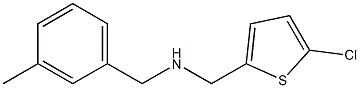 [(5-chlorothiophen-2-yl)methyl][(3-methylphenyl)methyl]amine 结构式