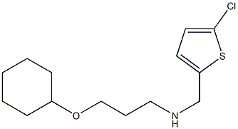 [(5-chlorothiophen-2-yl)methyl][3-(cyclohexyloxy)propyl]amine 结构式