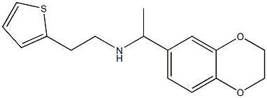 [1-(2,3-dihydro-1,4-benzodioxin-6-yl)ethyl][2-(thiophen-2-yl)ethyl]amine 结构式