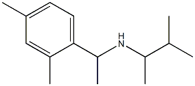 [1-(2,4-dimethylphenyl)ethyl](3-methylbutan-2-yl)amine 结构式