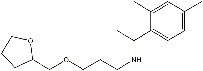 [1-(2,4-dimethylphenyl)ethyl][3-(oxolan-2-ylmethoxy)propyl]amine 结构式