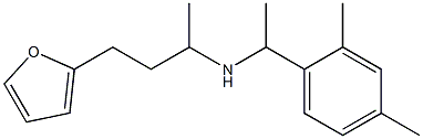 [1-(2,4-dimethylphenyl)ethyl][4-(furan-2-yl)butan-2-yl]amine 结构式