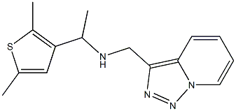 [1-(2,5-dimethylthiophen-3-yl)ethyl]({[1,2,4]triazolo[3,4-a]pyridin-3-ylmethyl})amine 结构式