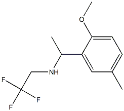 [1-(2-methoxy-5-methylphenyl)ethyl](2,2,2-trifluoroethyl)amine 结构式