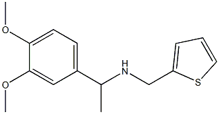 [1-(3,4-dimethoxyphenyl)ethyl](thiophen-2-ylmethyl)amine 结构式