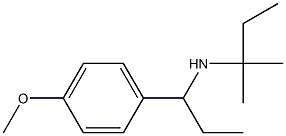 [1-(4-methoxyphenyl)propyl](2-methylbutan-2-yl)amine 结构式