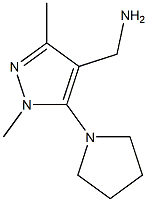 [1,3-dimethyl-5-(pyrrolidin-1-yl)-1H-pyrazol-4-yl]methanamine 结构式