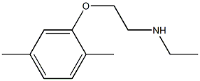 [2-(2,5-dimethylphenoxy)ethyl](ethyl)amine 结构式