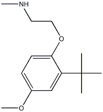 [2-(2-tert-butyl-4-methoxyphenoxy)ethyl](methyl)amine 结构式