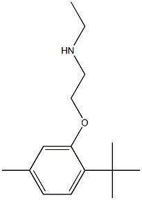 [2-(2-tert-butyl-5-methylphenoxy)ethyl](ethyl)amine 结构式