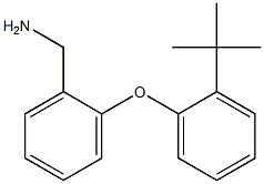 [2-(2-tert-butylphenoxy)phenyl]methanamine 结构式