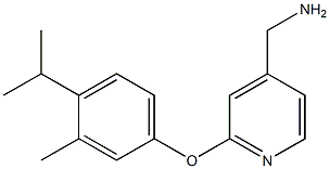 [2-(4-isopropyl-3-methylphenoxy)pyridin-4-yl]methylamine 结构式