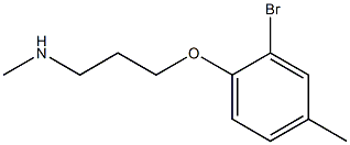 [3-(2-bromo-4-methylphenoxy)propyl](methyl)amine 结构式