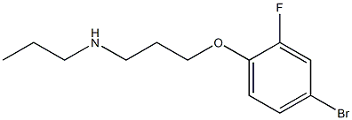 [3-(4-bromo-2-fluorophenoxy)propyl](propyl)amine 结构式