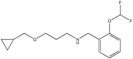 [3-(cyclopropylmethoxy)propyl]({[2-(difluoromethoxy)phenyl]methyl})amine 结构式