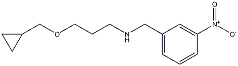 [3-(cyclopropylmethoxy)propyl][(3-nitrophenyl)methyl]amine 结构式