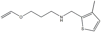 [3-(ethenyloxy)propyl][(3-methylthiophen-2-yl)methyl]amine 结构式
