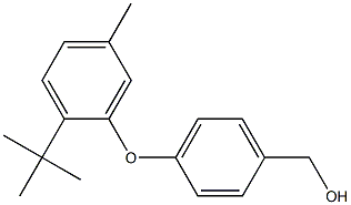 [4-(2-tert-butyl-5-methylphenoxy)phenyl]methanol 结构式