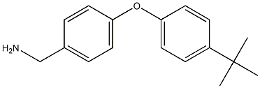 [4-(4-tert-butylphenoxy)phenyl]methanamine 结构式