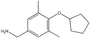 [4-(cyclopentyloxy)-3,5-dimethylphenyl]methanamine 结构式