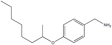 [4-(octan-2-yloxy)phenyl]methanamine 结构式