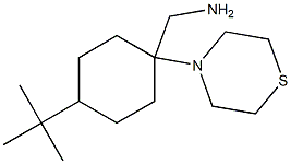 [4-tert-butyl-1-(thiomorpholin-4-yl)cyclohexyl]methanamine 结构式
