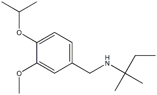 {[3-methoxy-4-(propan-2-yloxy)phenyl]methyl}(2-methylbutan-2-yl)amine 结构式