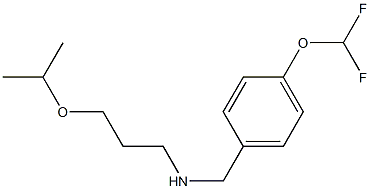 {[4-(difluoromethoxy)phenyl]methyl}[3-(propan-2-yloxy)propyl]amine 结构式