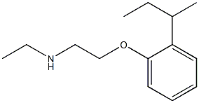 {2-[2-(butan-2-yl)phenoxy]ethyl}(ethyl)amine 结构式