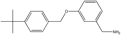 {3-[(4-tert-butylphenyl)methoxy]phenyl}methanamine 结构式