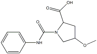 1-(anilinocarbonyl)-4-methoxypyrrolidine-2-carboxylic acid 结构式