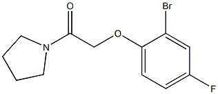 1-[(2-bromo-4-fluorophenoxy)acetyl]pyrrolidine 结构式