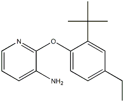 2-(2-tert-butyl-4-ethylphenoxy)pyridin-3-amine 结构式