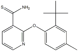 2-(2-tert-butyl-4-methylphenoxy)pyridine-3-carbothioamide 结构式