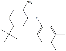 2-(3,4-dimethylphenoxy)-4-(2-methylbutan-2-yl)cyclohexan-1-amine 结构式