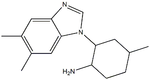 2-(5,6-dimethyl-1H-1,3-benzodiazol-1-yl)-4-methylcyclohexan-1-amine 结构式