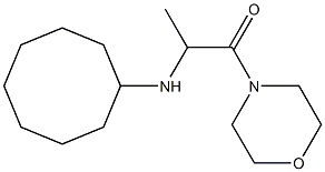 2-(cyclooctylamino)-1-(morpholin-4-yl)propan-1-one 结构式