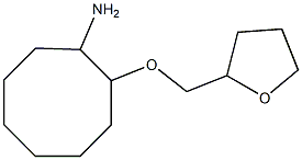 2-(oxolan-2-ylmethoxy)cyclooctan-1-amine 结构式